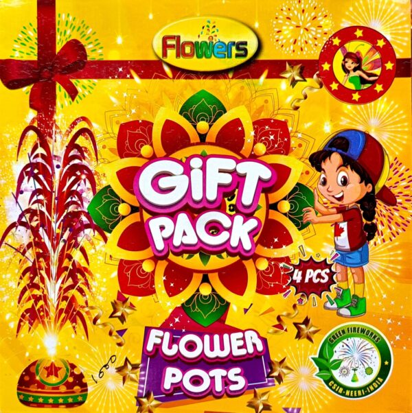 Gift Box Mud Flower Pot